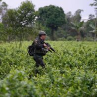 Rescatan en Ecuador a dos colombianos y abaten a presunto miembro de disidencia de FARC