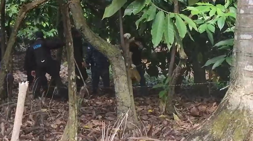 Autoridades recogen evidencia durante búsqueda de la niña Brianna Genao en Imbert