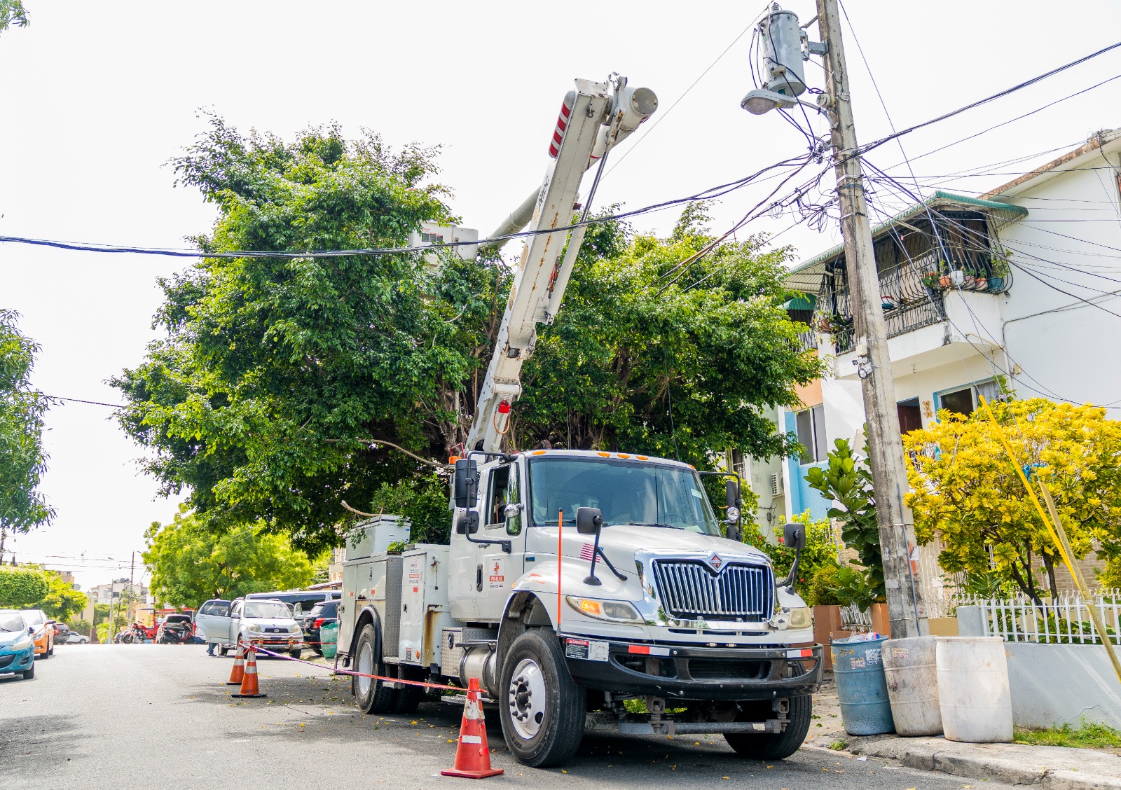 Edesur desarrollará este viernes una jornada de construcción de nuevas redes para interconexión de subestación Alfa