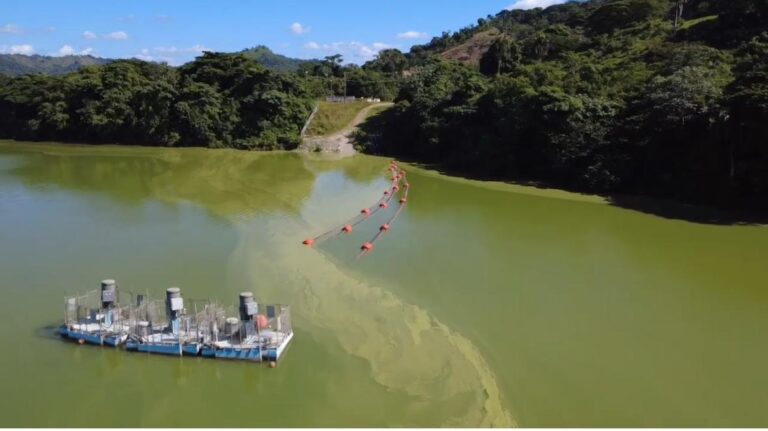Residentes alertan sobre contaminación bacteriana y química en la Presa de Hatillo; pseudomonas y estreptococos fecales entre otros hallazgos