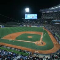 Liga Venezolana de Béisbol Profesional suspendió la disputa este sábado del Round Robin por crisis política