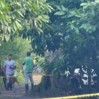 Unidades Caninas rastrean viviendas cercanas a donde fue vista por última vez Brianna Genao