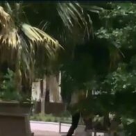Pareja es captada sosteniendo relaciones sexuales en el parque Duarte de Azua