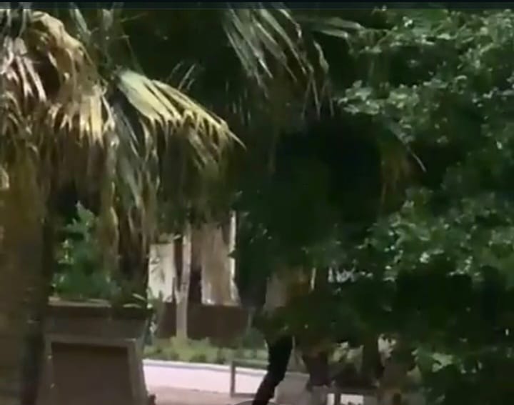 Pareja es captada sosteniendo relaciones sexuales en el parque Duarte de Azua