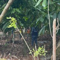 Ante posible llegada de Yenny Berenice Reynoso a Barrero, intensifican búsqueda de la niña Brianna Genao Rosario