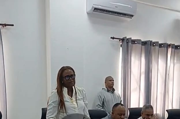 Regidora Susi de la Cruz pide al presidente Abinader intervenir la Alcaldía de SDO