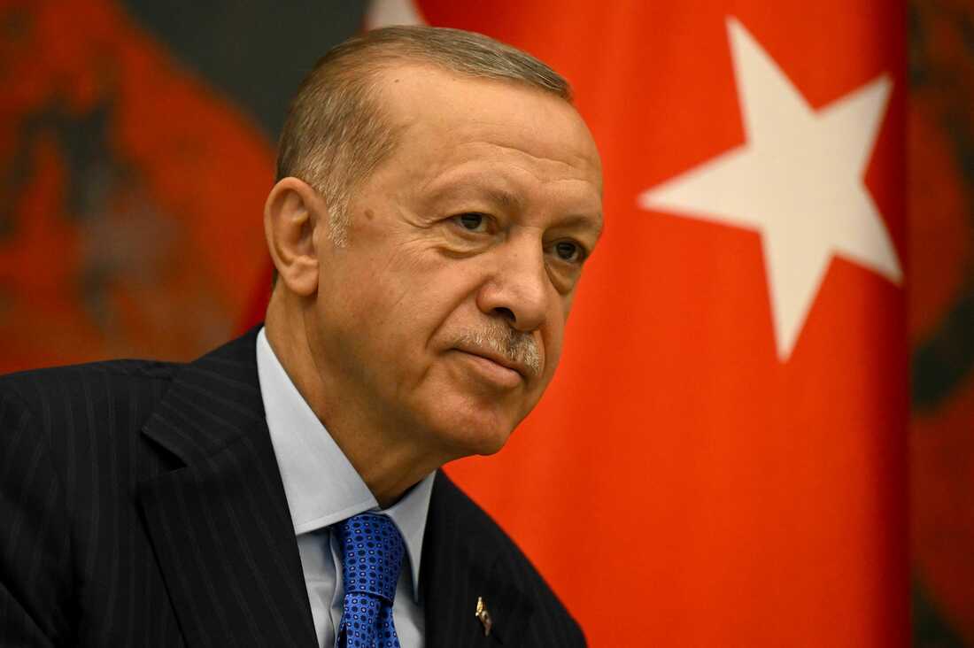 Condenado a otros 1,5 años de cárcel un exlíder izquierdista turco por insultos a Erdogan