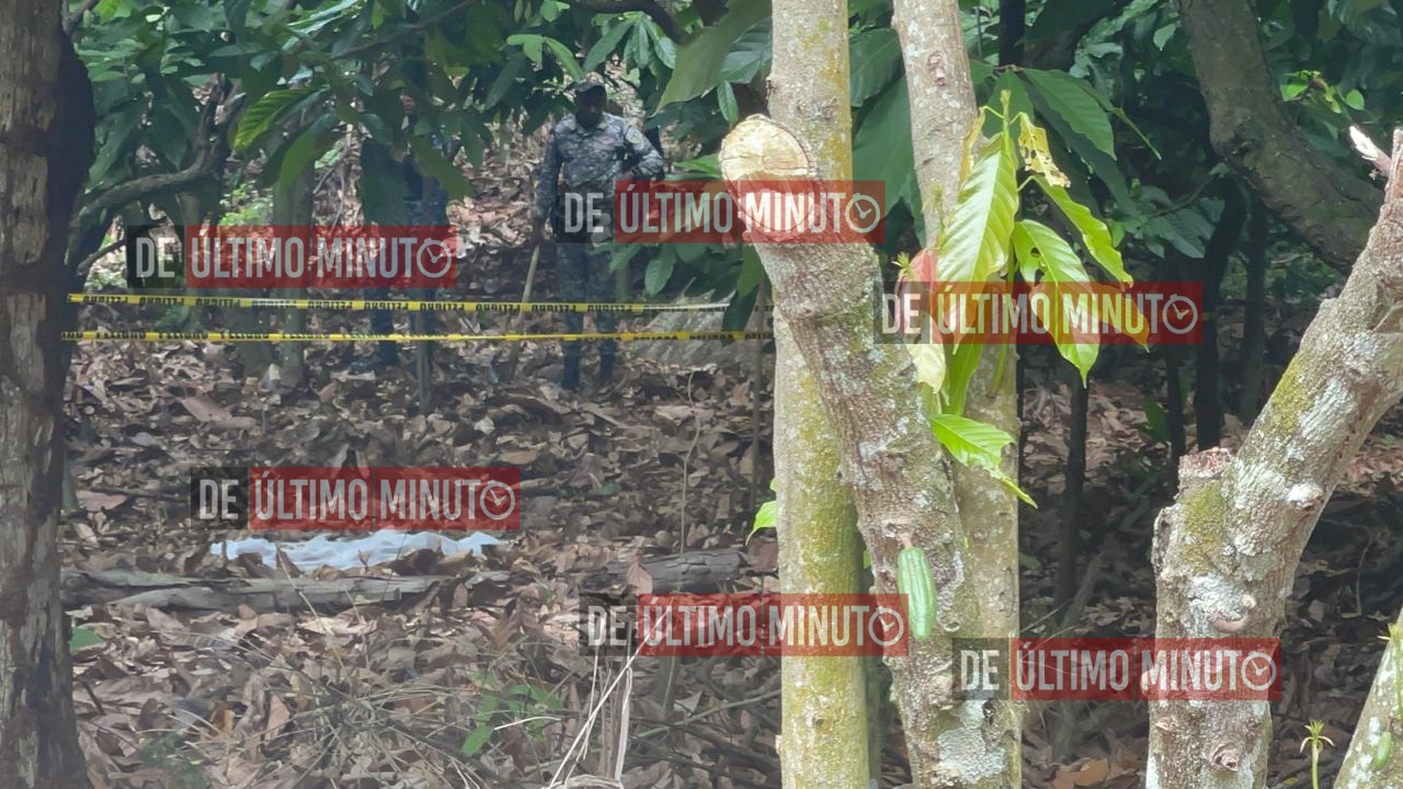 Hallan posible evidencia en medio de búsqueda de la niña Brianna Genao Rosario; autoridades acuerdan área