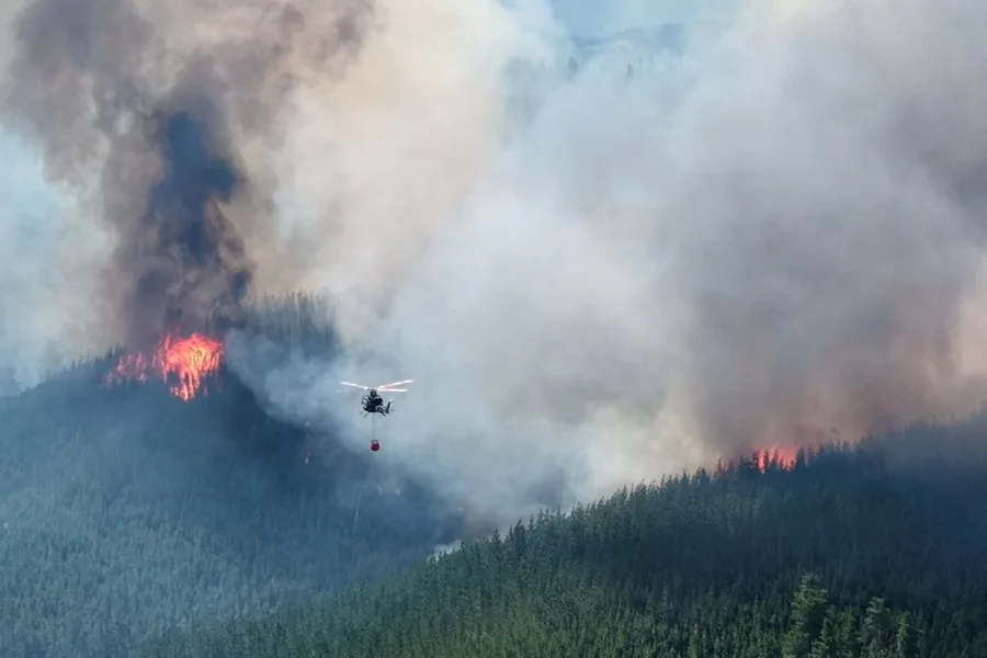Decenas de personas son evacuadas por los incendios forestales en la Patagonia de Argentina