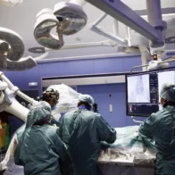 La nueva etapa de la investigación de los trasplantes de órganos de cerdos transgénicos