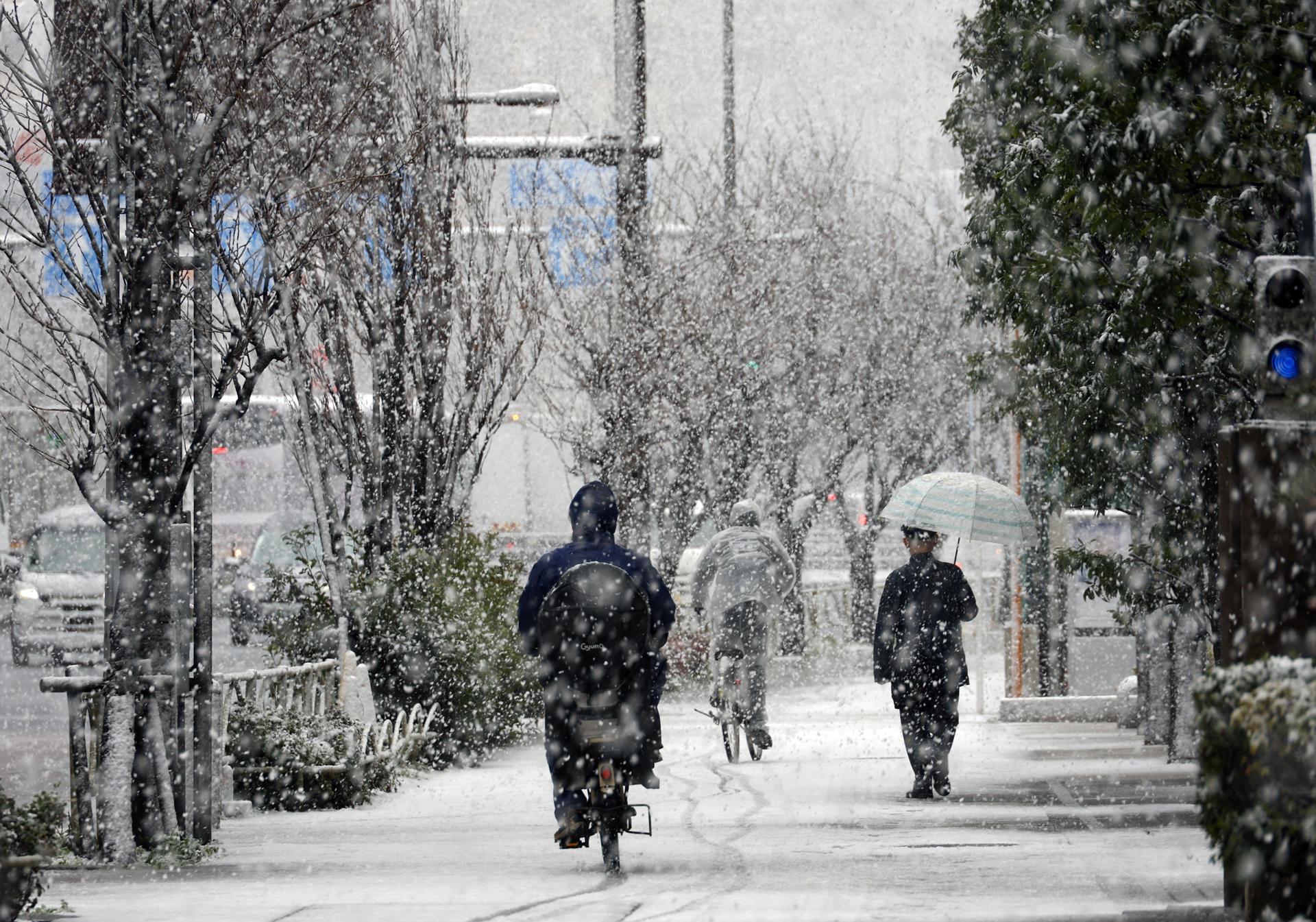Suben a 35 los muertos por la nieve en Japón, con riesgo de avalanchas por deshielo
