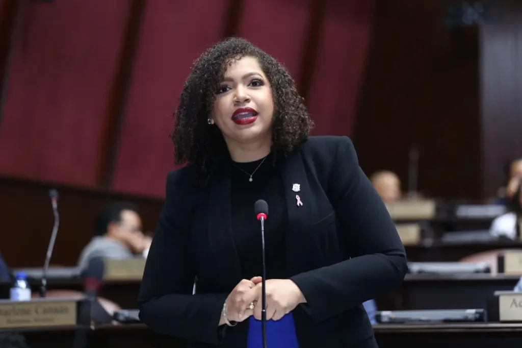 Juliana O’Neal: “El pueblo dominicano no necesita promesas recicladas”