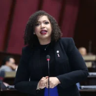 Juliana O’Neal: “El pueblo dominicano no necesita promesas recicladas”