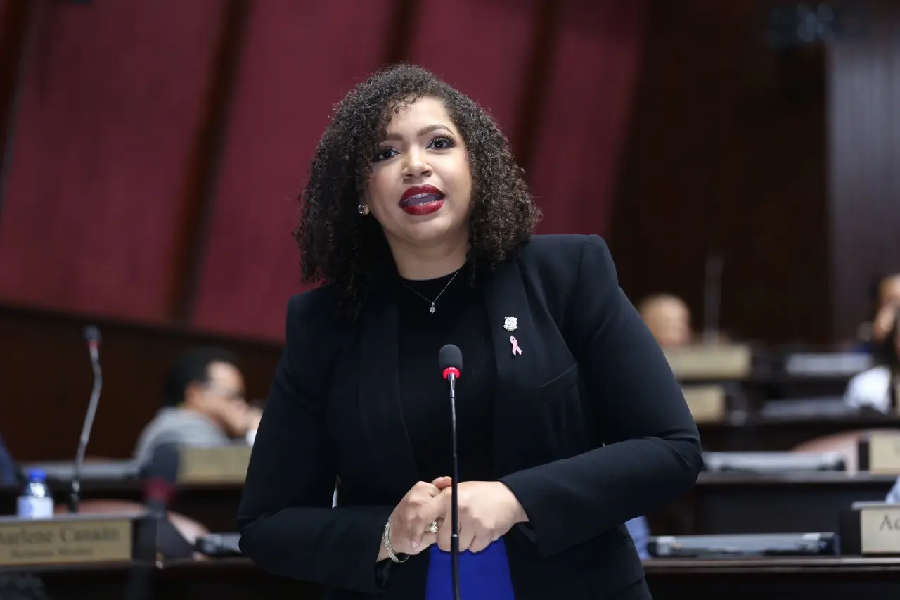 Juliana O’Neal: “El pueblo dominicano no necesita promesas recicladas”