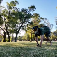 Therian, furries, metálicos y you: las modas juveniles que desconciertan en cada generación