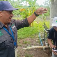 Panamá superó los 822 contagios de dengue