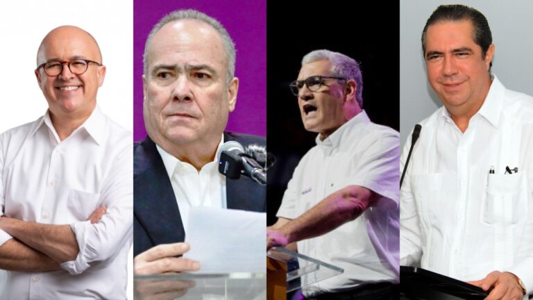 Estos son los ocho aspirantes presidenciales del PLD de cara al 2028