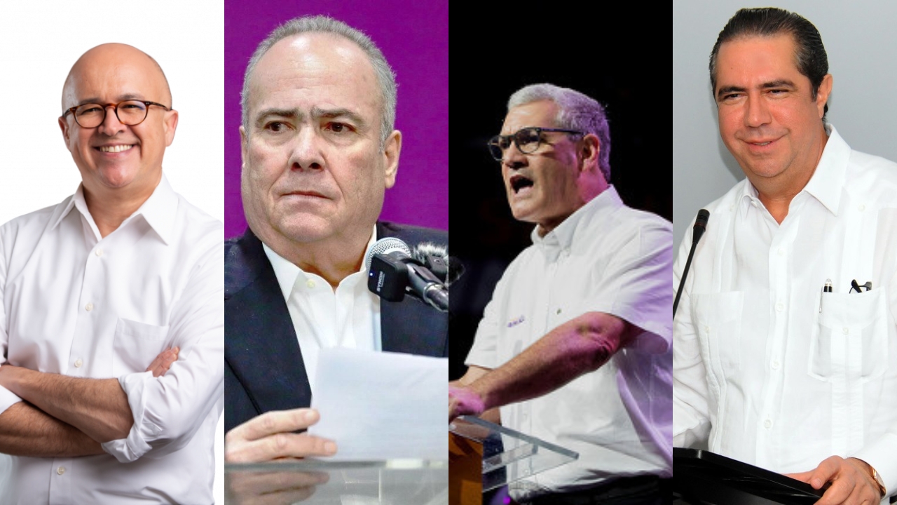 Estos son los ocho aspirantes presidenciales del PLD de cara al 2028