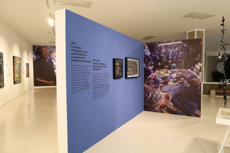 Museo de Arte Moderno de Santo Domingo presenta al Maestro Breleur: La fragilidad de un corazón de cristal 