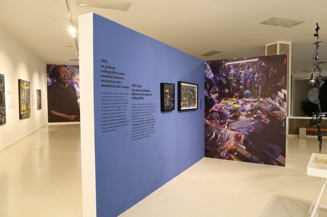 Museo de Arte Moderno de Santo Domingo presenta al Maestro Breleur: La fragilidad de un corazón de cristal 