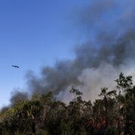 Incendio en Florida crece y amenaza un centenar de viviendas tras cinco días sin control
