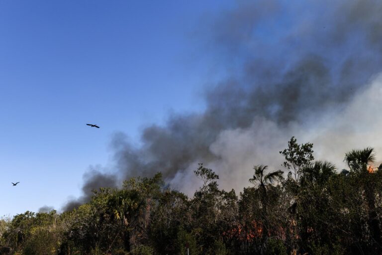 Incendio en Florida crece y amenaza un centenar de viviendas tras cinco días sin control