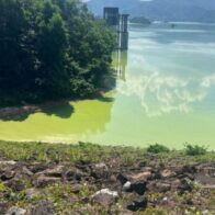 Abandono y parálisis económica afectan a la Presa de Hatillo, denuncia comunicadora Grace Reyes