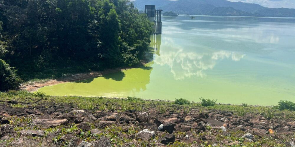 Abandono y parálisis económica afectan a la Presa de Hatillo, denuncia comunicadora Grace Reyes