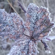 Valle Nuevo amanece cubierto de escarcha tras temperaturas bajo cero