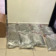 DNCD confisca 15 paquetes de marihuana en el AILA