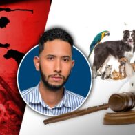 Periodista denuncia debilidades en la aplicación de la Ley de Protección Animal en RD