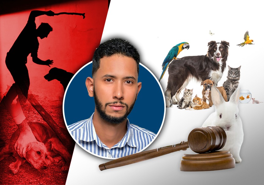 Periodista denuncia debilidades en la aplicación de la Ley de Protección Animal en RD