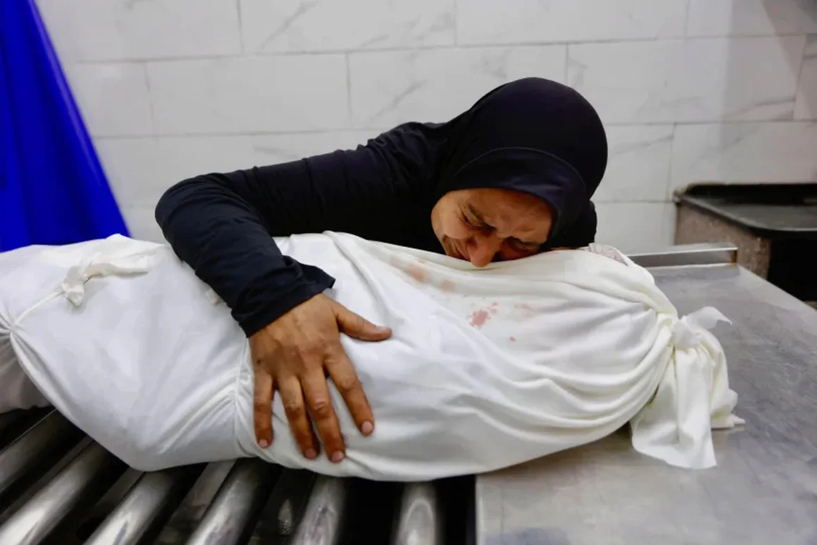 Ataque de Israel mata a dos primos, de 14 y 13 años, que recolectaban madera en Gaza