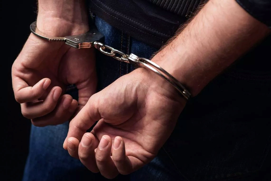 Arrestado dos semanas un periodista opositor georgiano por insultar a autoridades en redes