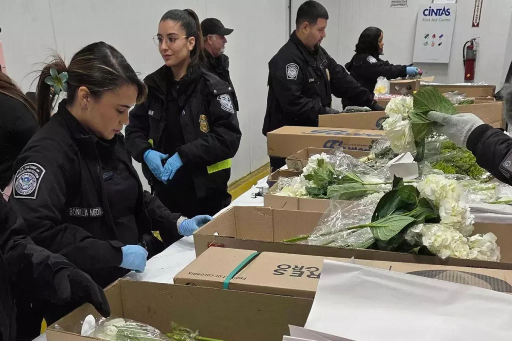 Millones de flores pasan por aeropuerto de Miami para Día de San Valentín