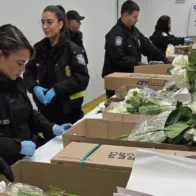 Millones de flores pasan por aeropuerto de Miami para Día de San Valentín