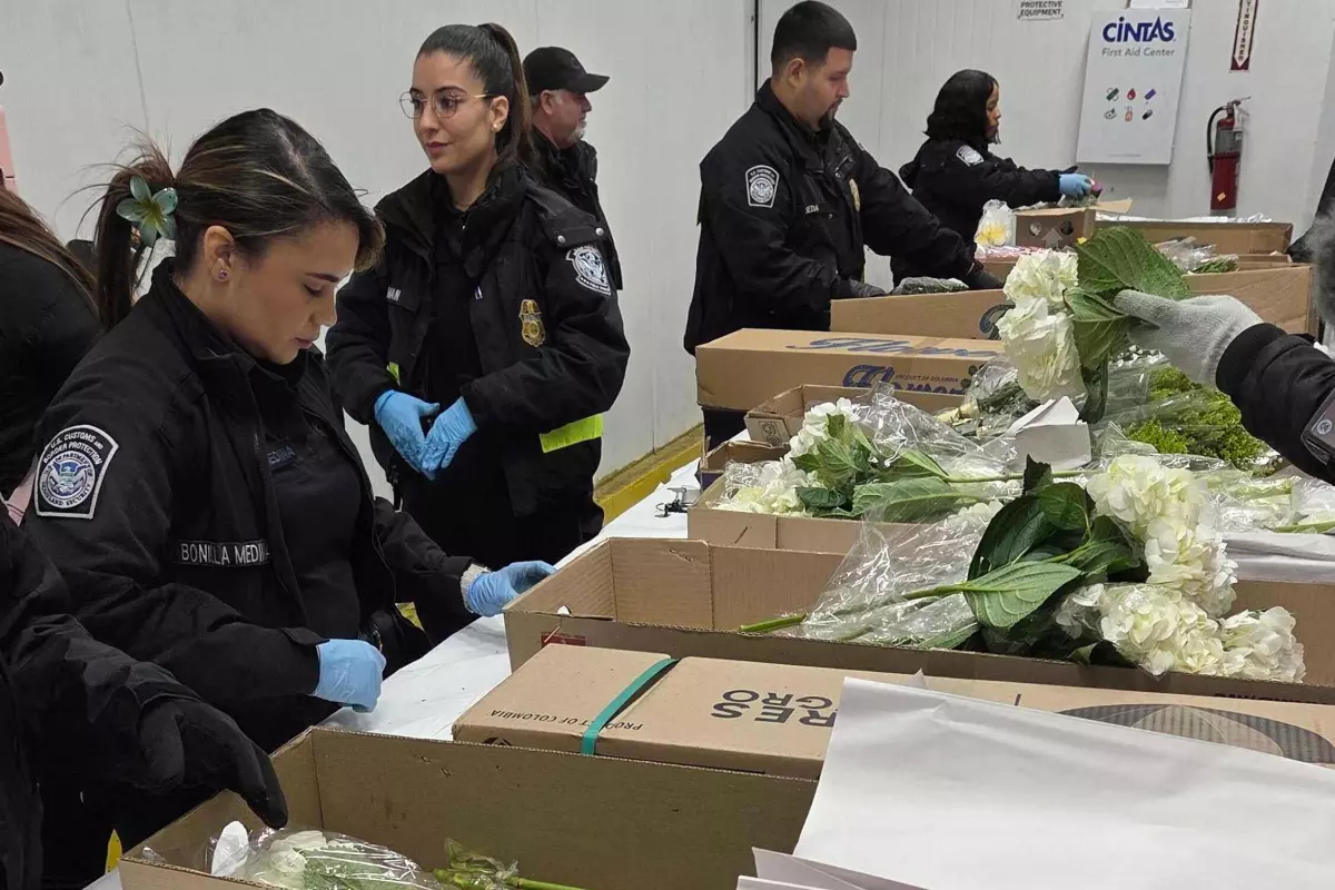 Millones de flores pasan por aeropuerto de Miami para Día de San Valentín
