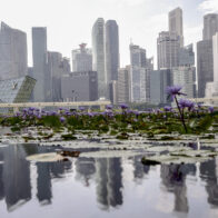 Singapur aumenta los ahorcamientos pese a las críticas y a contracorriente de sus vecinos