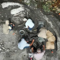 Hallan fósiles de un perezoso gigante y un mastodonte de al menos hace 10.000 años en Costa Rica
