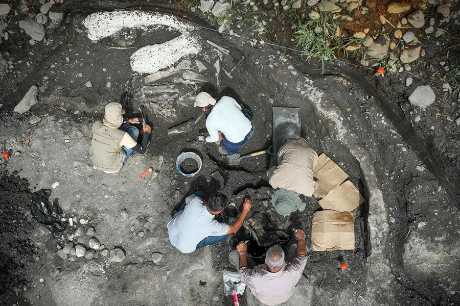 Hallan fósiles de un perezoso gigante y un mastodonte de al menos hace 10.000 años en Costa Rica
