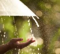 COE eleva alerta verde por lluvias en varias provincias del país
