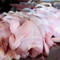 Pollo fresco.