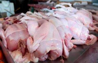 Pollo fresco.