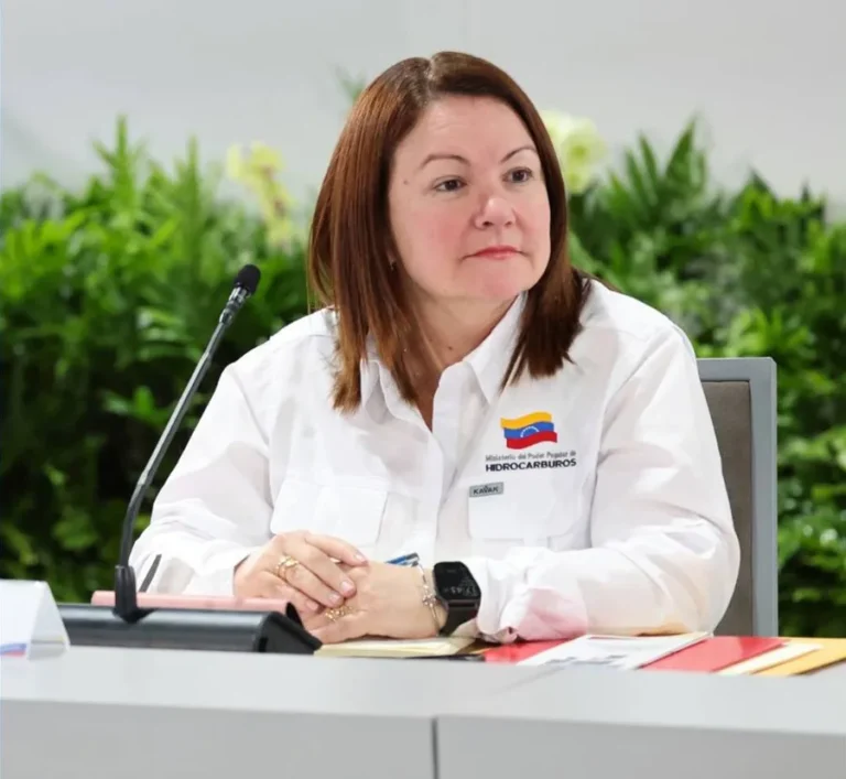 Delcy Rodríguez designa a una nueva ministra de Hidrocarburos en Venezuela