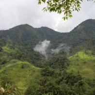 Ecuador destruye 129 campamentos de minería ilegal en un parque nacional cerca de Perú
