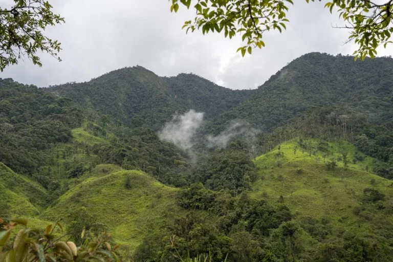 Ecuador destruye 129 campamentos de minería ilegal en un parque nacional cerca de Perú