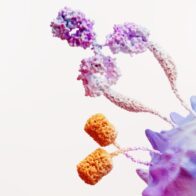 La salud de la mujer frente al cáncer ginecológico y su impacto familiar en RD