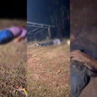 Masacre en Honduras: Asesinan a tres hermanos y surgen primeras hipotesis