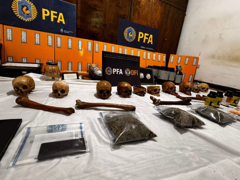 Macabro hallazgo en Colombia: un cultivador de marihuana escondía una colección de cráneos humanos