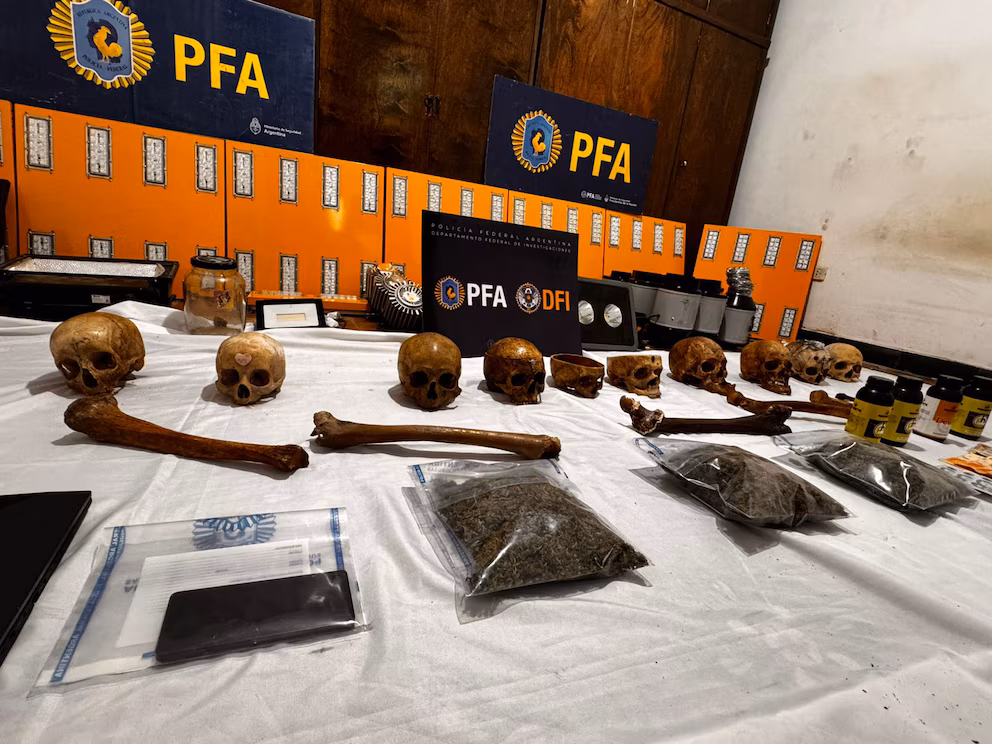 Macabro hallazgo en Colombia: un cultivador de marihuana escondía una colección de cráneos humanos